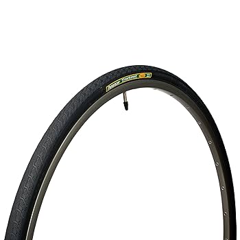 Amazon.co.jp: パナレーサー(Panaracer) クリンチャー タイヤ